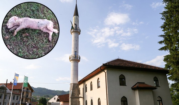 Prvi dan hidžretske godine: Mrtva svinja bačena u harem Gradske džamije u Bratuncu