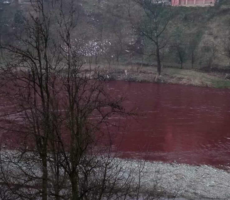 Uznemirujući prizori: Rijeka Bosna “krvava”