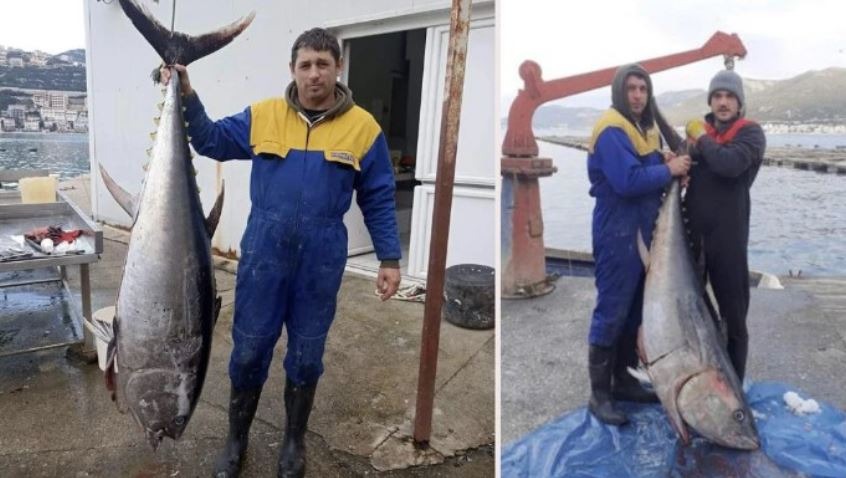 Veliku ulov: Mještani Neuma izvukli tunu tešku 85 kg!