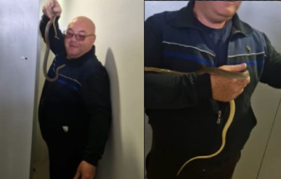 Zmija ušla radnicima u ormarić u firmi: Uvukla se u garderobu, šokirali se kad su je vidjeli!