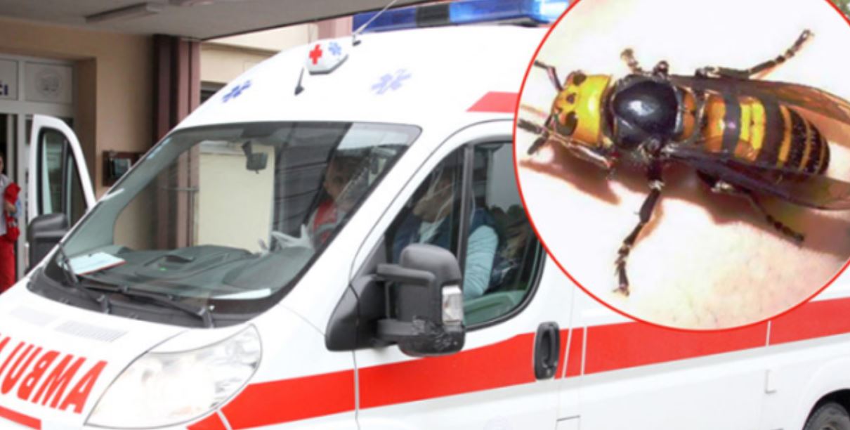 Muškarac umro od uboda stršljena na kućnom pragu, nije stigao pozvati hitnu